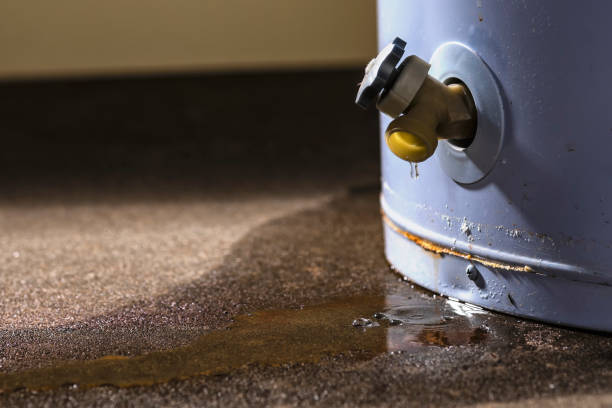 Best Sewage cleanup and water damage restoration  in Danville, IA