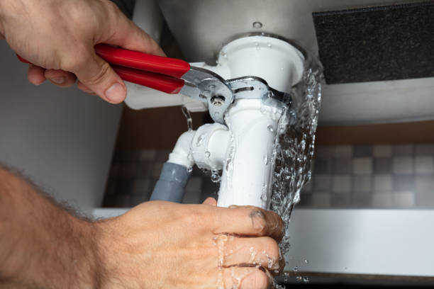 Best Water damage restoration specialists  in Danville, IA