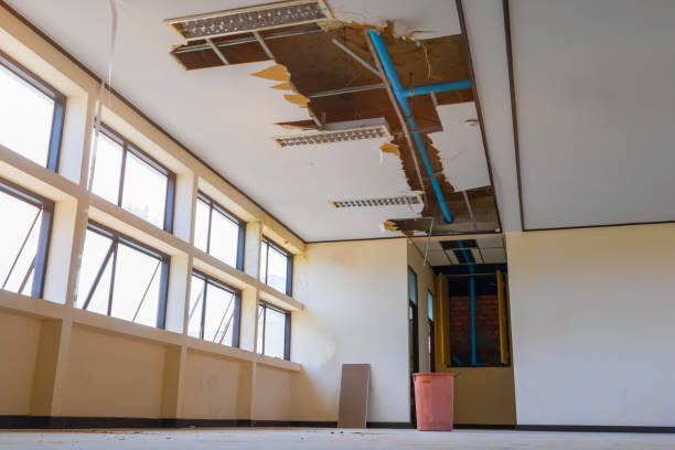 Best Fire Damage Restoration  in Danville, IA