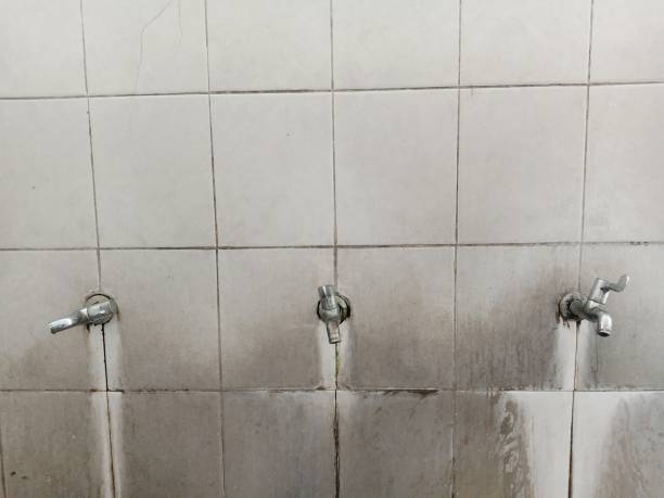Best Water damage mitigation services  in Danville, IA